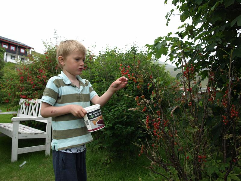 EJ055475.JPG