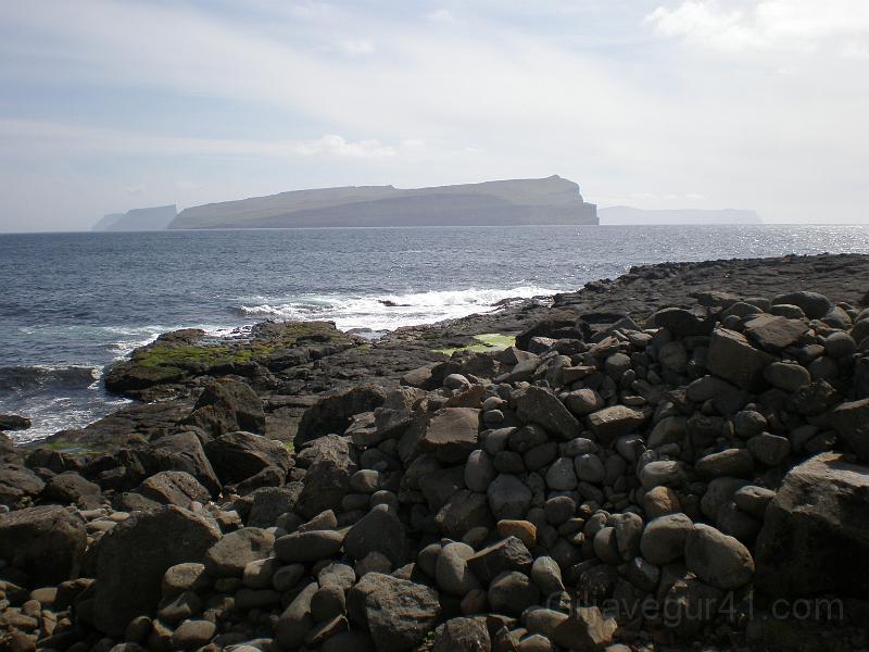 P5310086.JPG